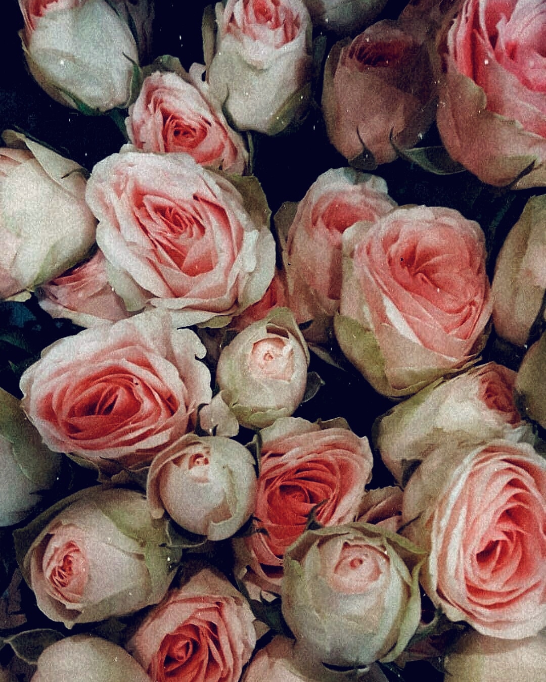 bouquet-rose-mariage
